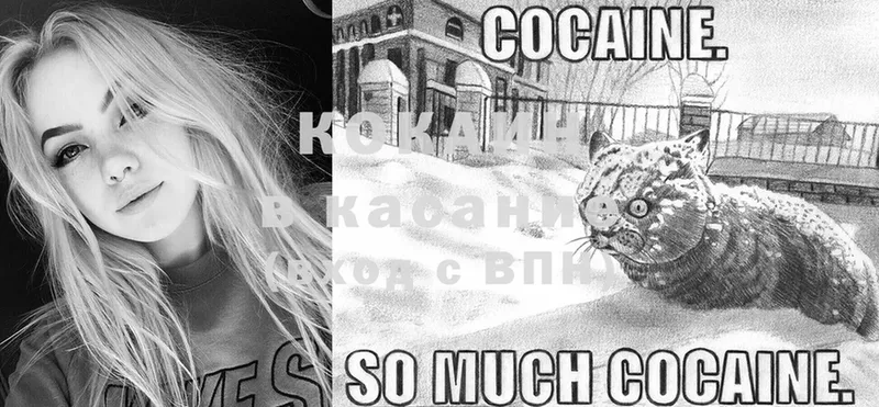 купить наркоту  блэк спрут как зайти  Cocaine Колумбийский  Венёв 